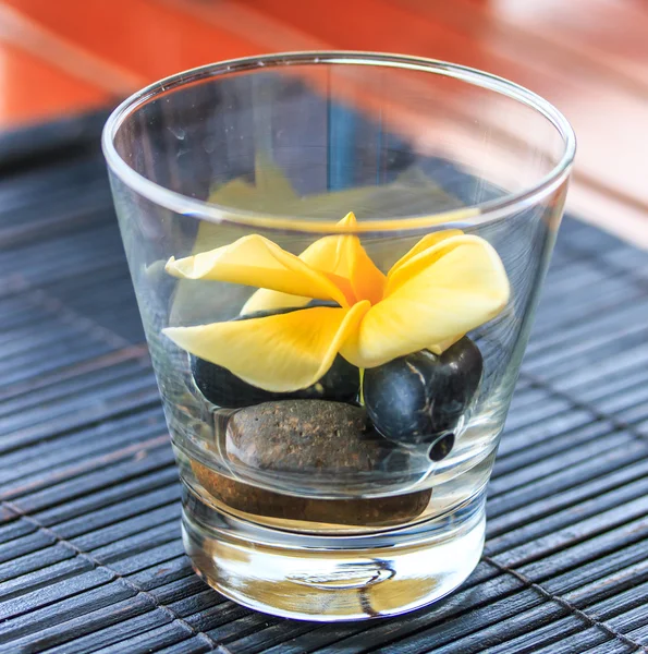 Plumeria in the glass — Stock Photo, Image