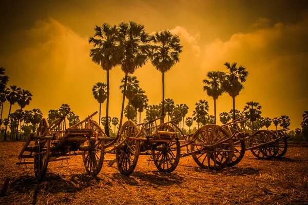 Buckboard i fältet — Stockfoto