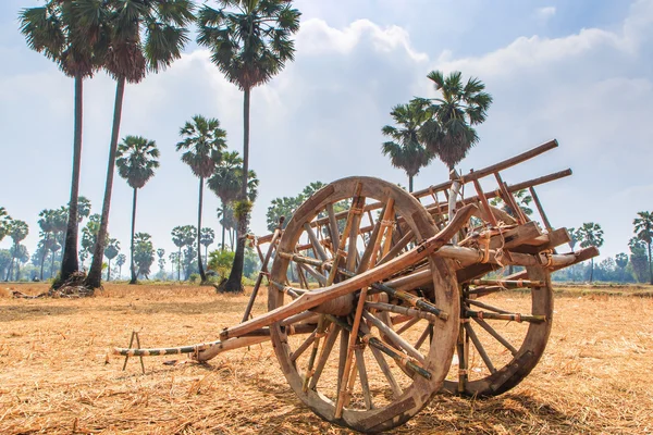 Buckboard i fältet — Stockfoto