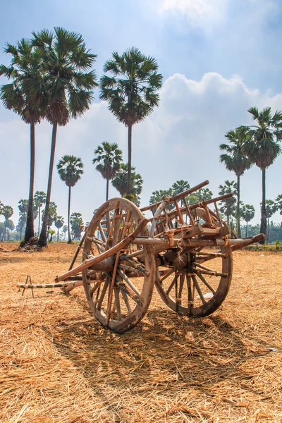 Buckboard no campo — Fotografia de Stock