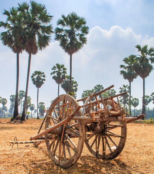 Buckboard no campo — Fotografia de Stock