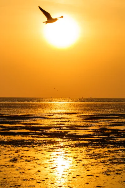 Krásný západ slunce nad mořem — Stock fotografie