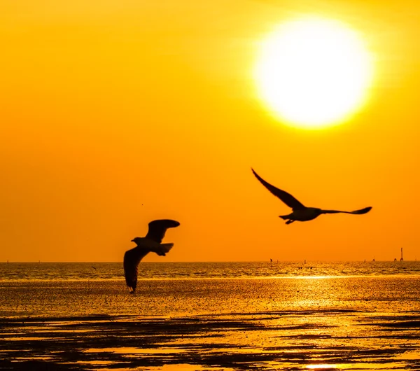Denizin üzerinde güzel bir gün batımı — Stok fotoğraf