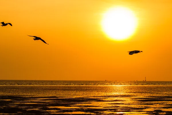 Belo pôr do sol acima do mar — Fotografia de Stock
