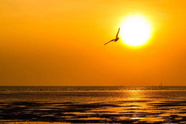 Piękny zachód słońca nad morzem — Zdjęcie stockowe