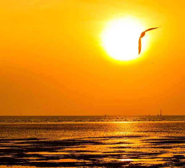 Beautiful sunset above the sea — Stock Photo, Image