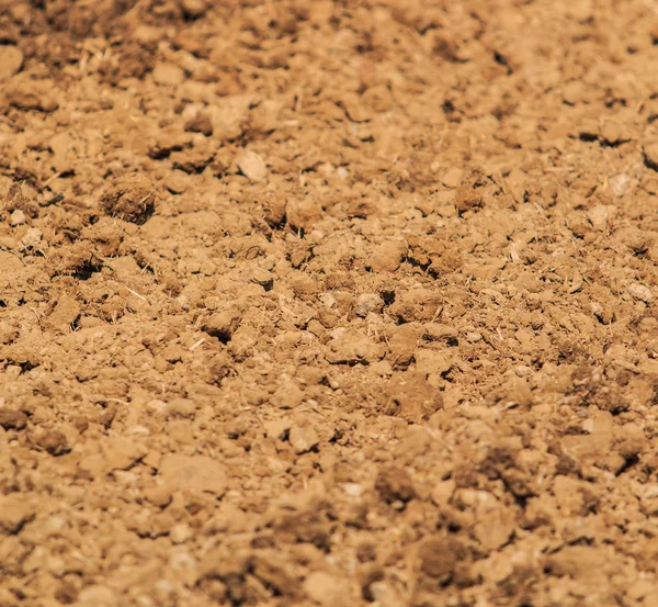 Soil  texture — Stock Photo, Image