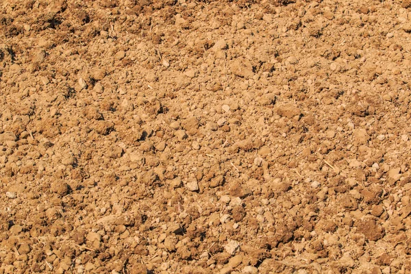 Soil  texture — Stock Photo, Image