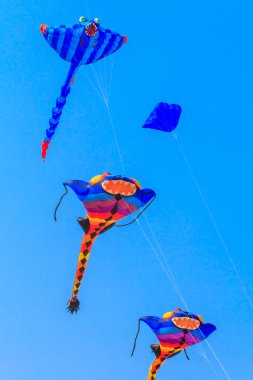 15 Tayland Uluslararası Uçurtma