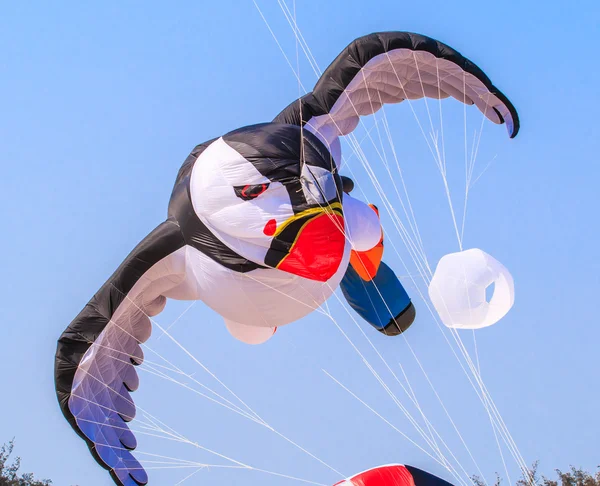 15th Thailand International Kite — Stock Photo, Image