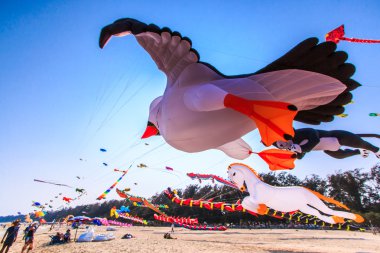 15 Tayland Uluslararası Uçurtma Şenliği