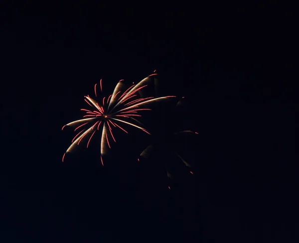 Belos fogos de artifício coloridos férias — Fotografia de Stock