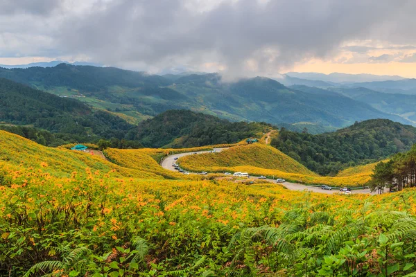 Paysage à Tung Bua Tong — Photo