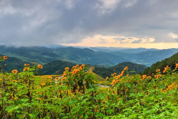 Landschap in Tung Bua Tong — Stockfoto