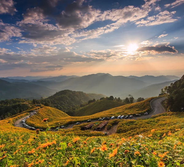 Paisaje en Tung Bua Tong — Foto de Stock