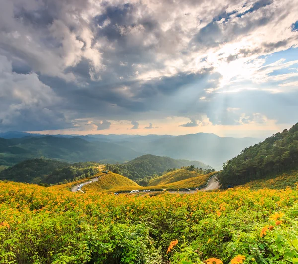 Paisaje en Tung Bua Tong — Foto de Stock