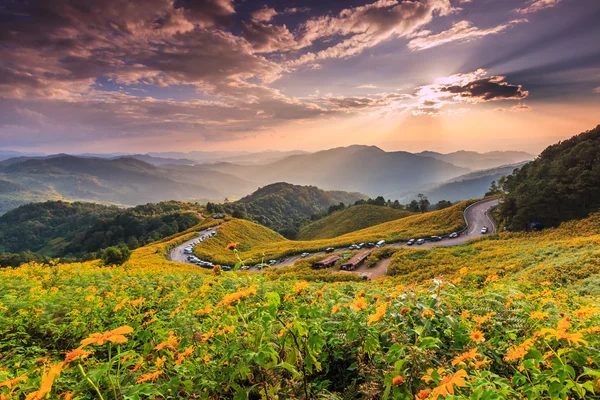 Landschaft im Tung Bua Tong — Stockfoto