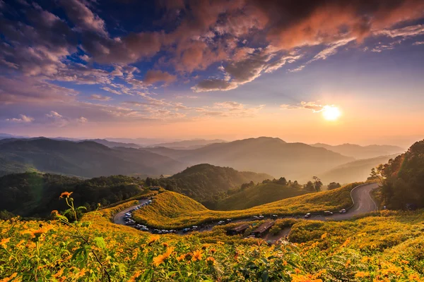 Paisaje en Tung Bua Tong — Foto de Stock