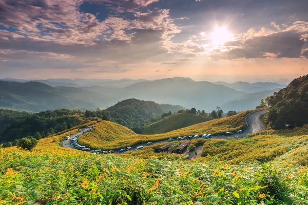 Landscape  in Tung Bua Tong — Stock Photo, Image