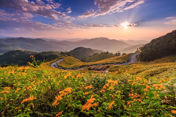 Landscape  in Tung Bua Tong — Stock Photo, Image