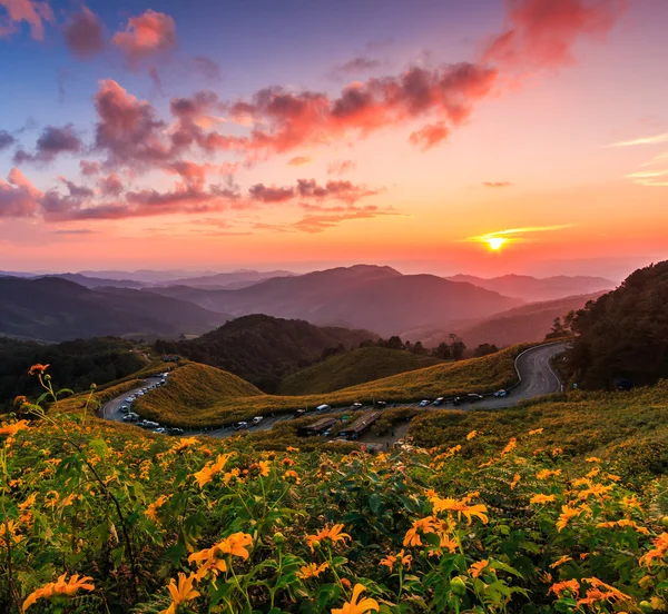 Paisagem em Tung Bua Tong — Fotografia de Stock