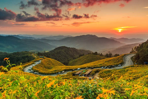 Tung Bua Tong peyzaj