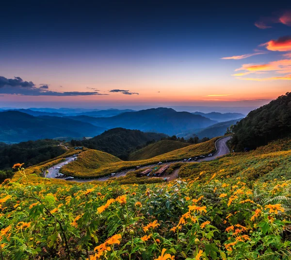 Landschap in Tung Bua Tong — Stockfoto