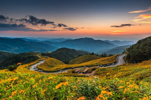 Landscape  in Tung Bua Tong — Stock Photo, Image