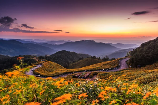 Landscape  in Tung Bua Tong — Stock Photo, Image