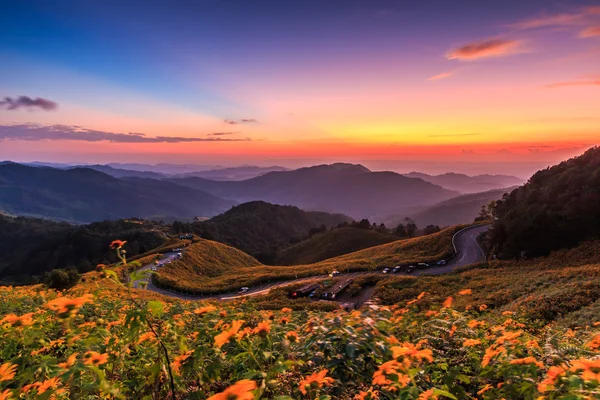 Paesaggio a Tung Bua Tong — Foto Stock