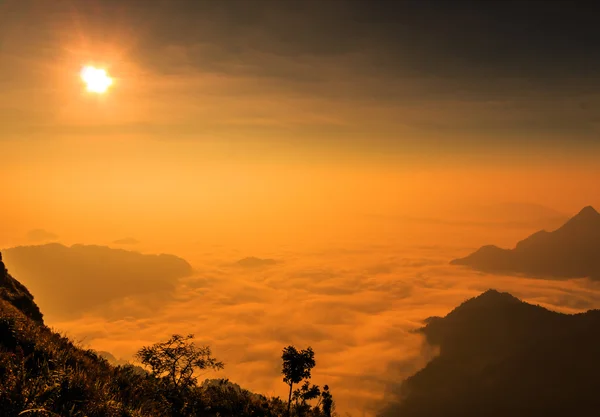 Sonnenaufgang bei phu chi fa — Stockfoto