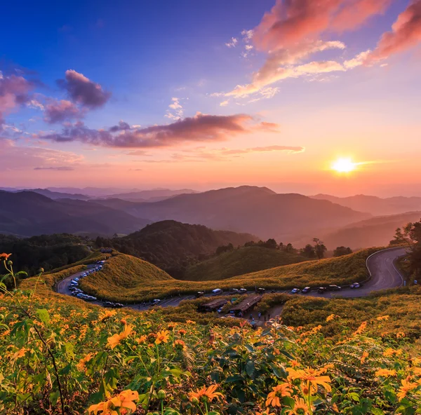 Pôr do sol paisagem com girassóis — Fotografia de Stock