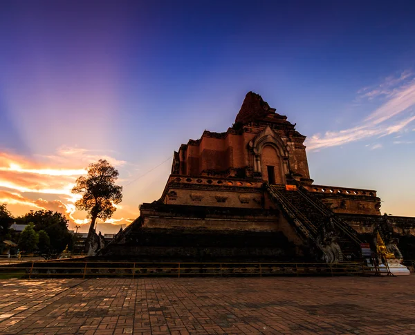 Wat chedi luang templo — Fotografia de Stock