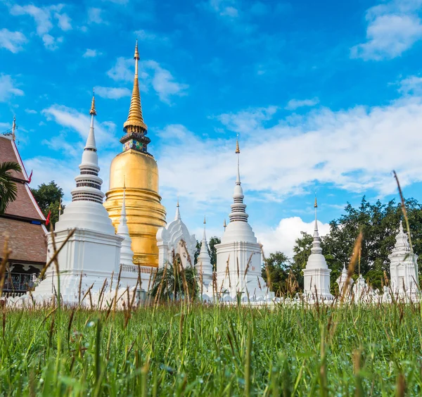 Wat Suan Dok złota pagoda — Zdjęcie stockowe