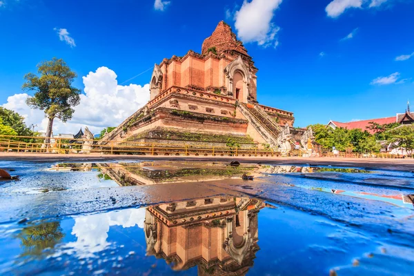 Wat chedi luang Tempel — Stockfoto