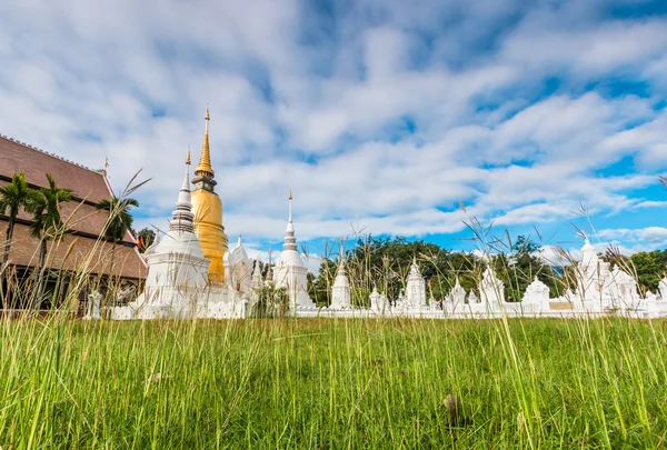 Wat Suan Dok złota pagoda — Zdjęcie stockowe