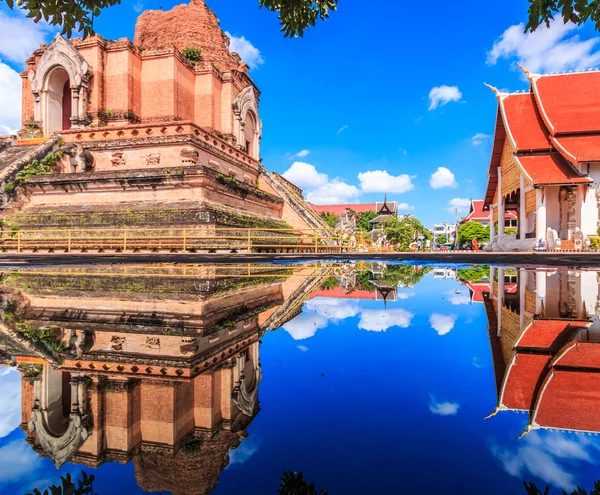 Wat chedi luang Tempel — Stockfoto