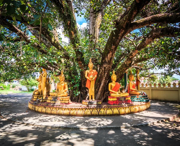 Buddha under bodhi trädet — Stockfoto