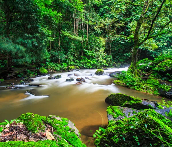 Pha Dok Xu waterval — Stockfoto