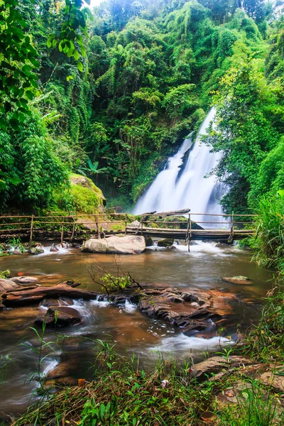 Pha Dok Xu waterfall — Stock Photo, Image