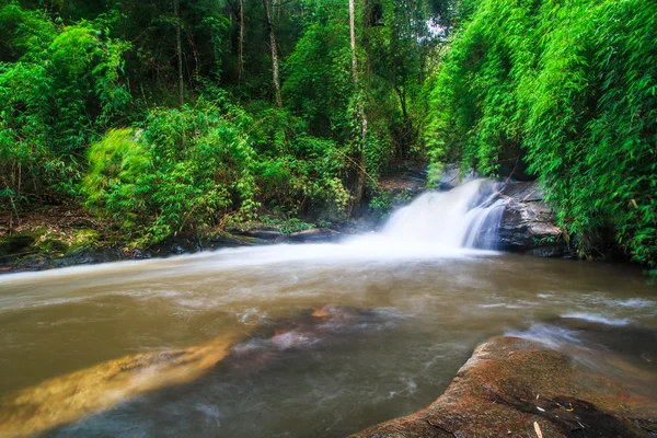 Cascada Pha Dok Xu — Fotografie, imagine de stoc