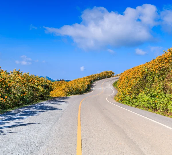 Yol ve güzel çiçekler — Stok fotoğraf