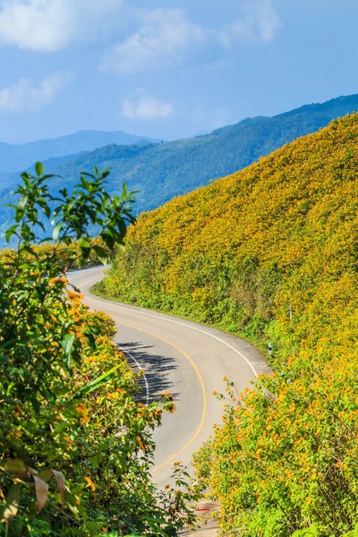 Strada e bei fiori — Foto Stock