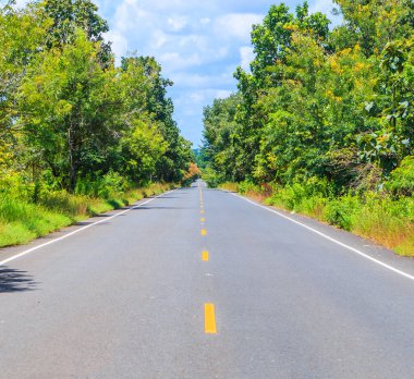 Yol ve yeşil ağaçlar