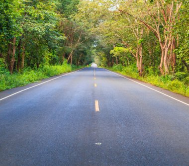 Yol ve yeşil ağaçlar