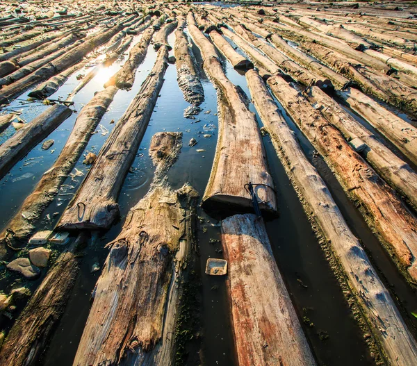 Σωρό από ξύλο τοπίο — Φωτογραφία Αρχείου