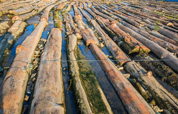 Stapel hout in water — Stockfoto