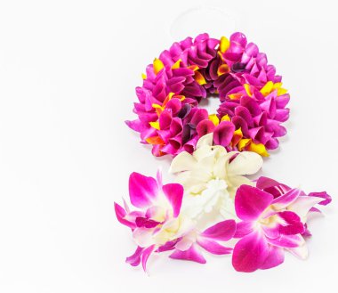 Orkide çiçek çelenk