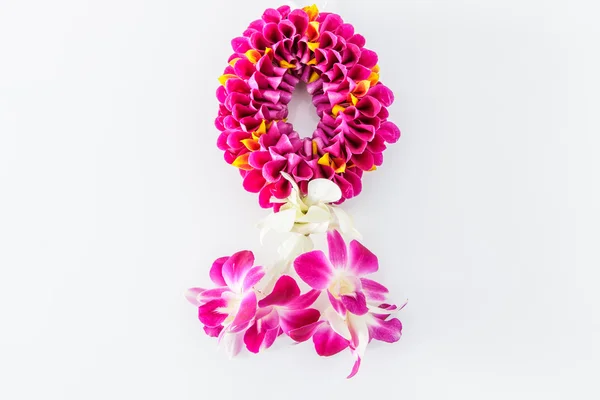 Guirnalda de flores de orquídea — Foto de Stock