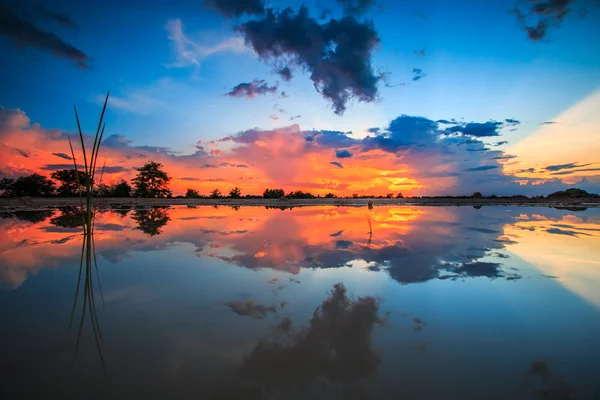 Zachód słońca, Błękitne niebo i chmury — Zdjęcie stockowe